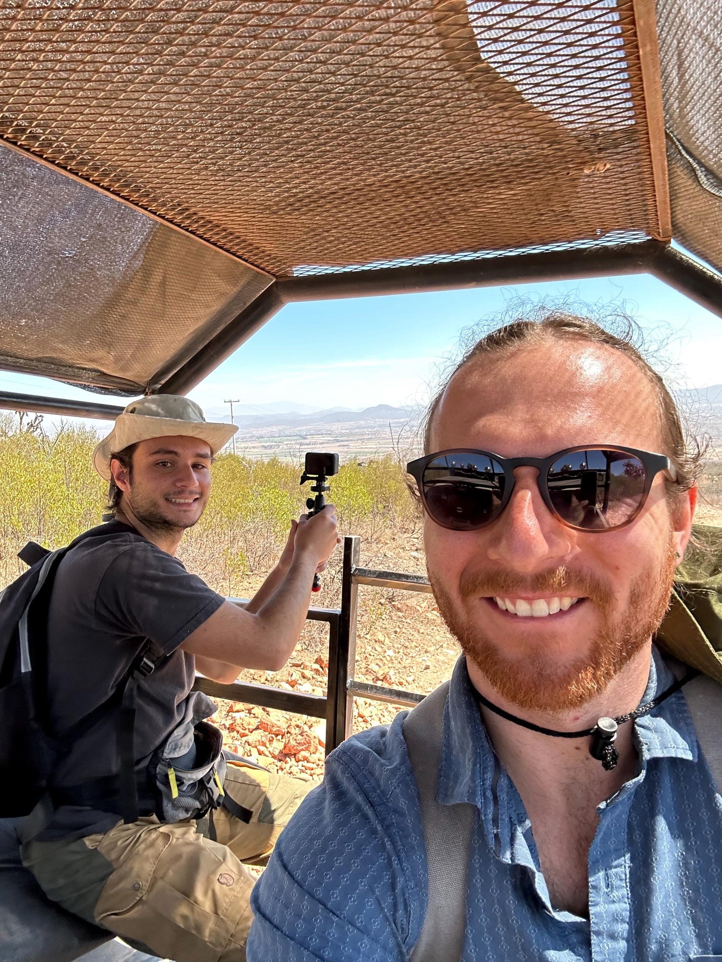Fire Opal Frog Sculpture from Queretaro, Mexico