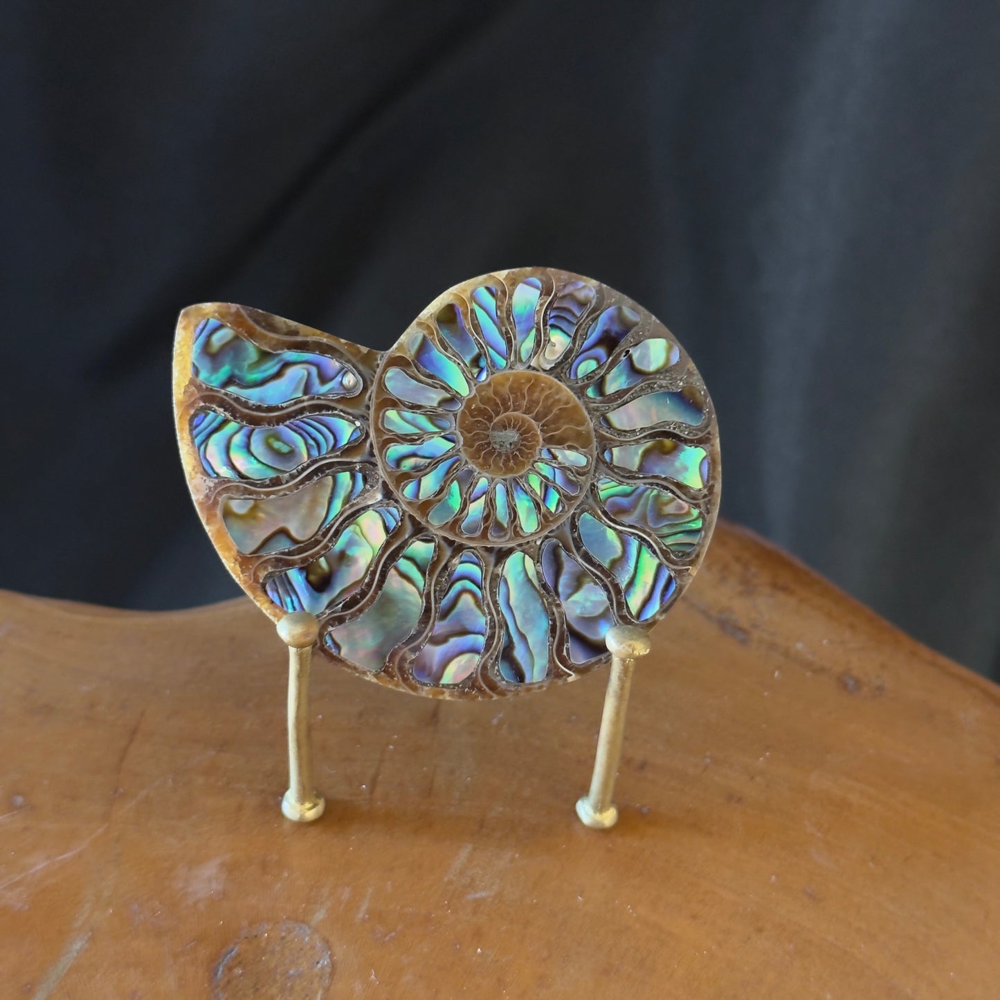 Ammonite with Abalone Inlay