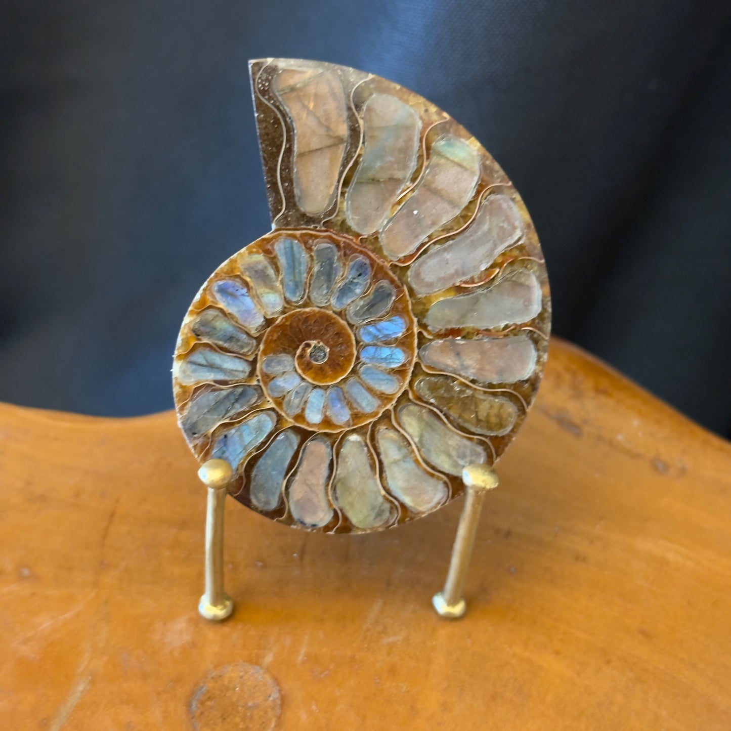 Mini Ammonite with Labradorite