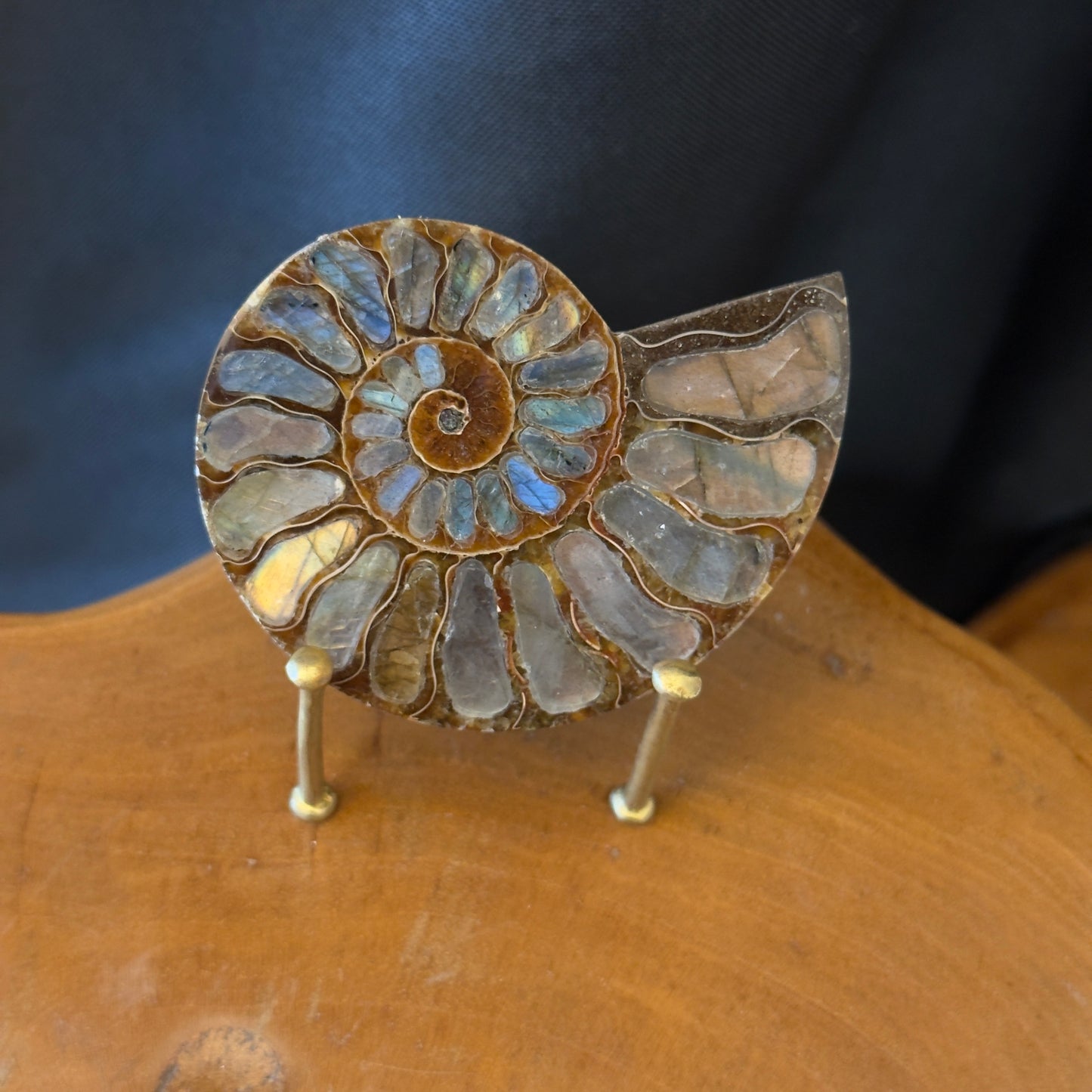 Mini Ammonite with Labradorite
