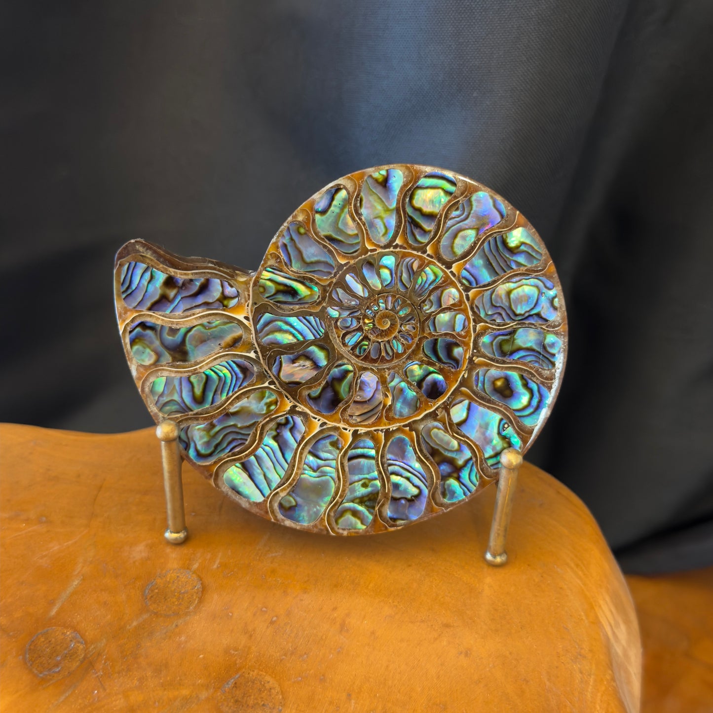 Ammonite with Abalone Inlay