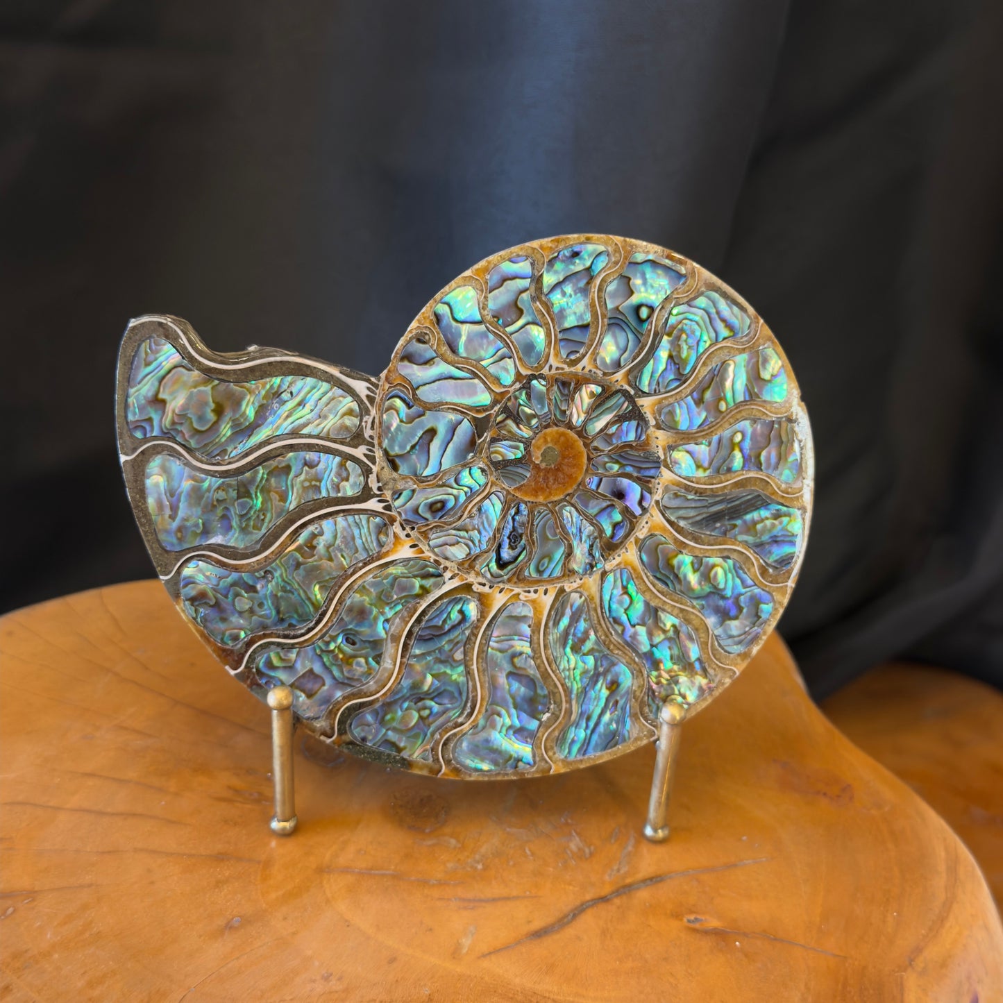 Ammonite with Abalone Inlay