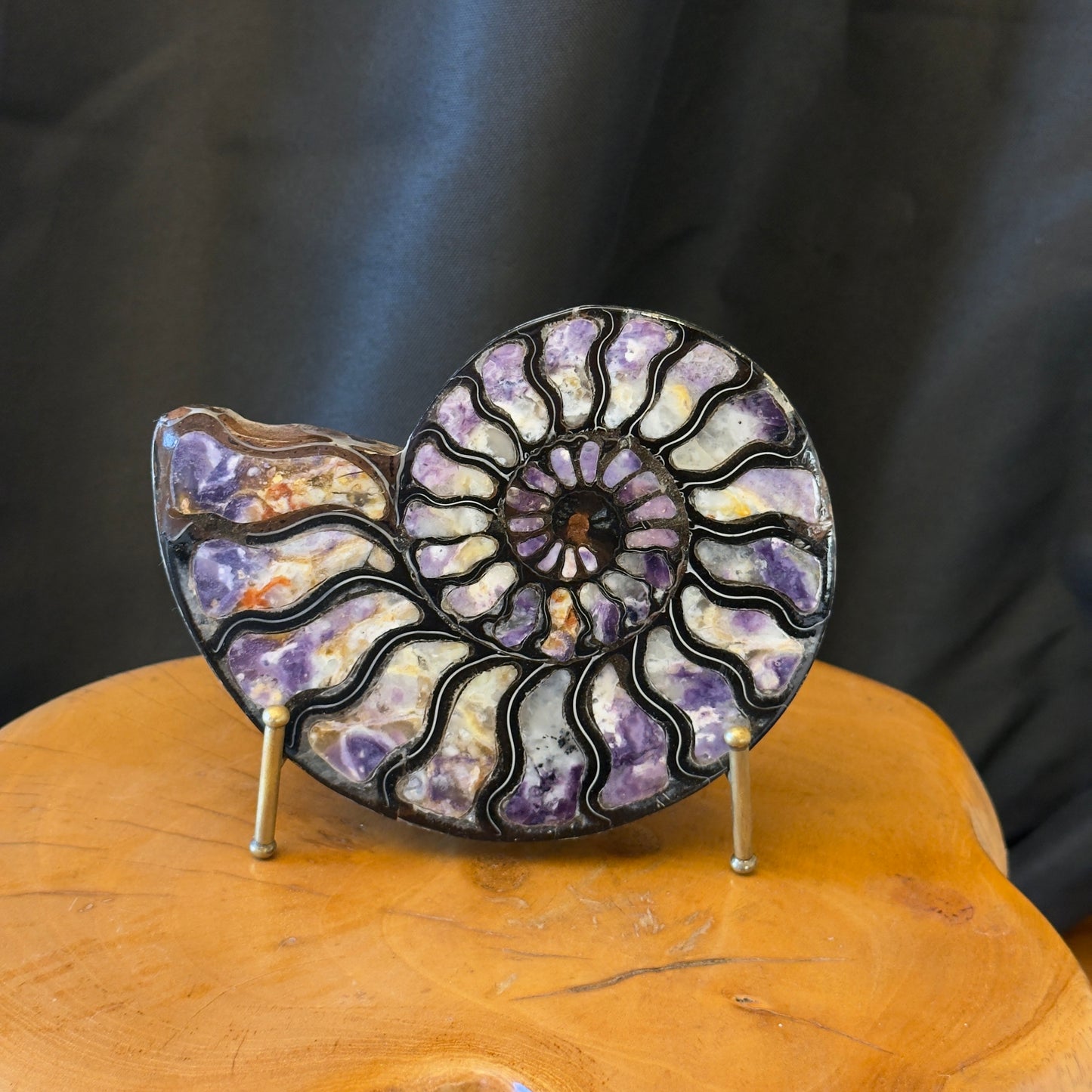 Ammonite with Purple Opal Inlay