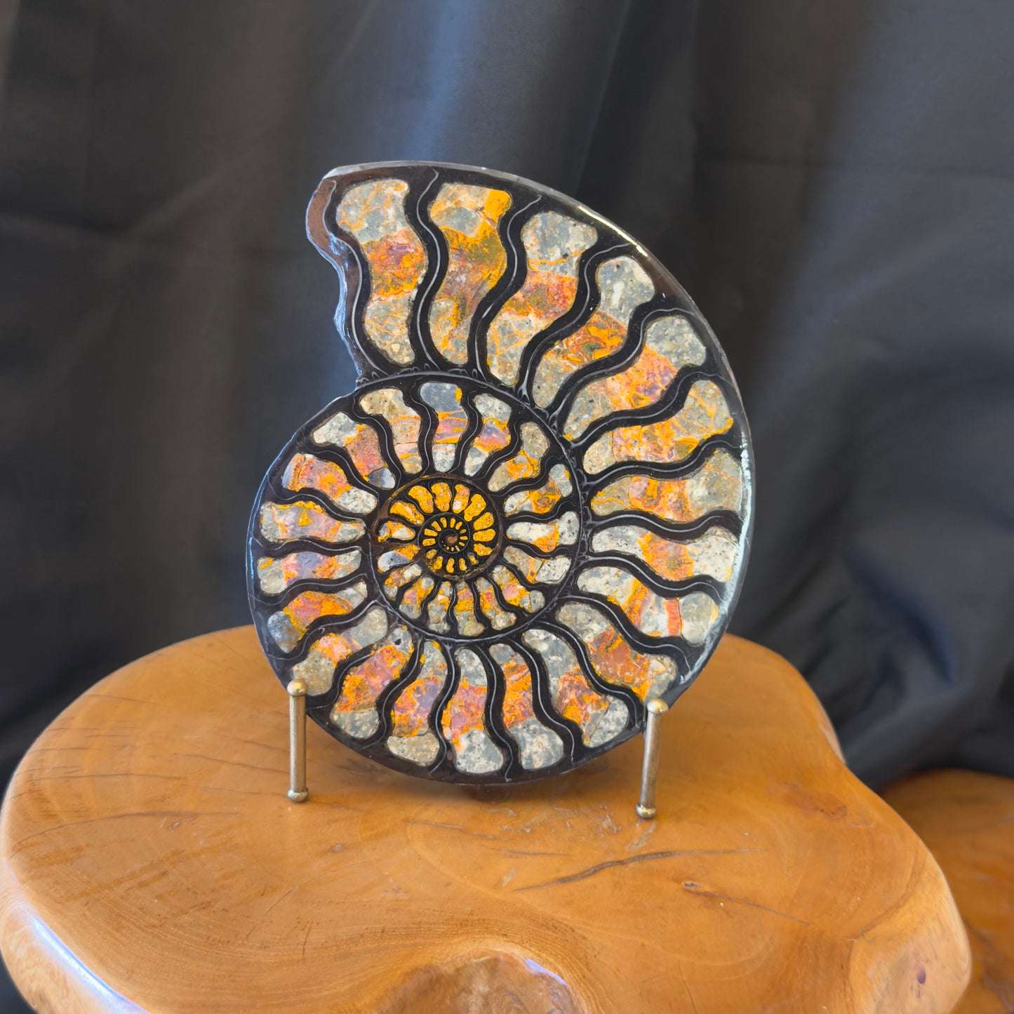 Ammonite with Magma Chalcedony Inlay