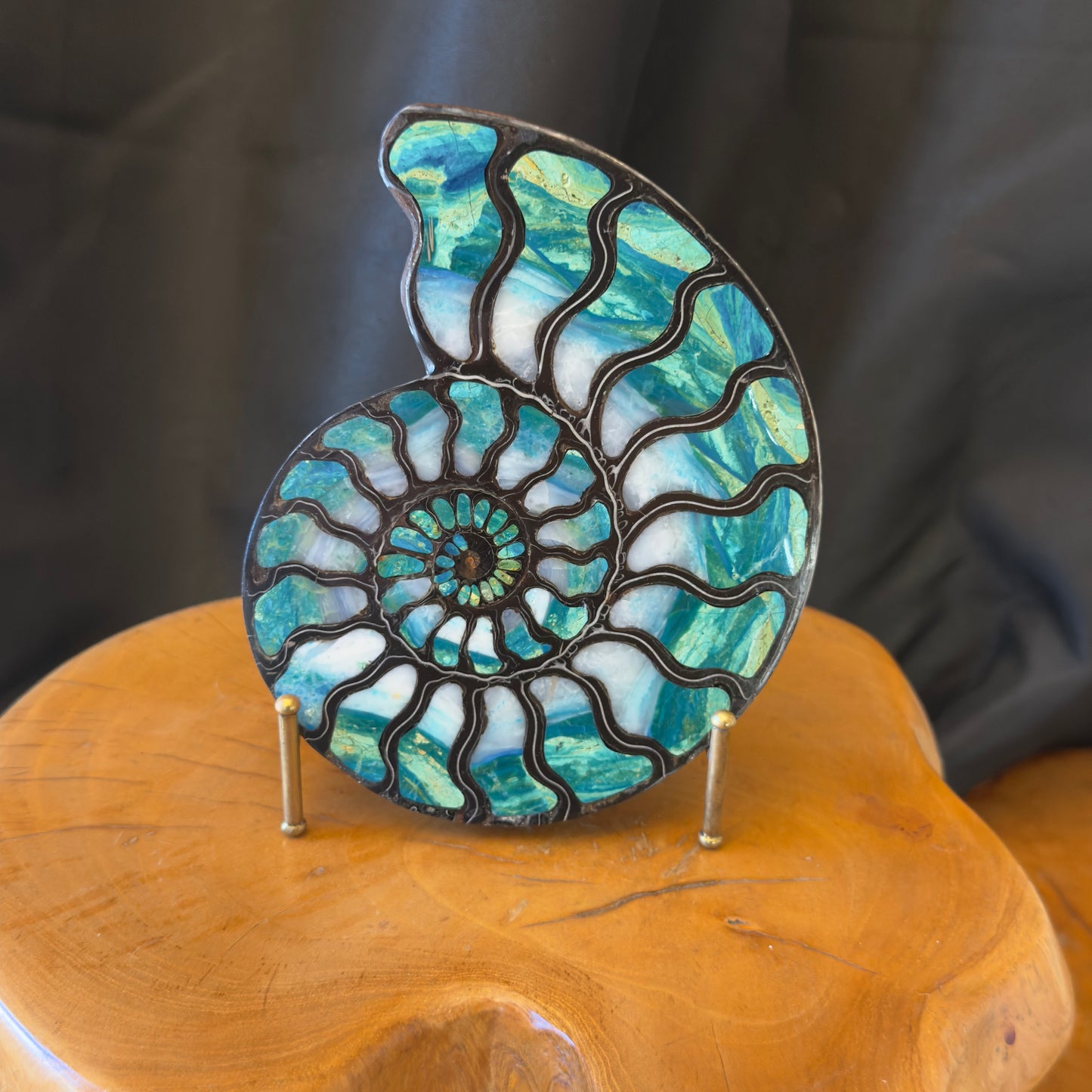 Ammonite with Blue Opal Inlay