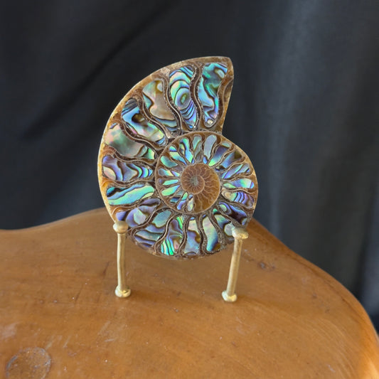 Ammonite with Abalone Inlay