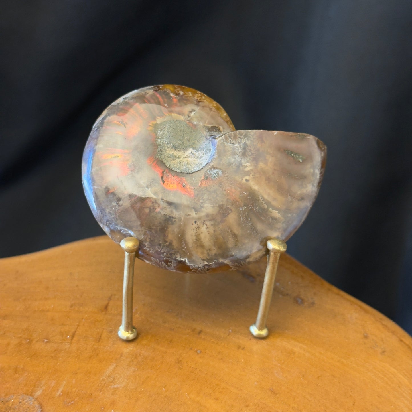 Mini Ammonite with Labradorite