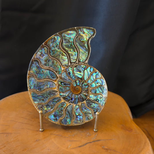 Ammonite with Abalone Inlay