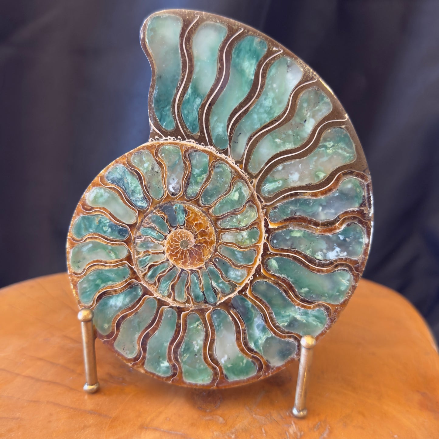 Ammonite with Green Opal