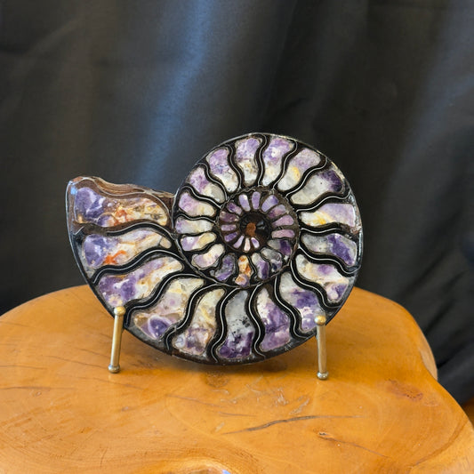 Ammonite with Purple Opal Inlay