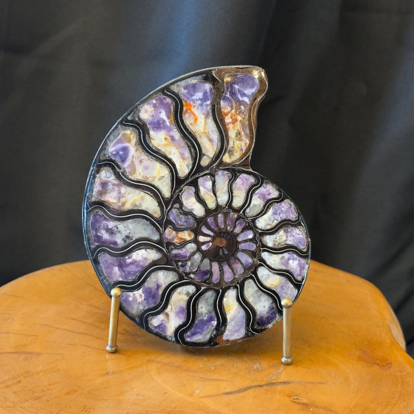 Ammonite with Purple Opal Inlay