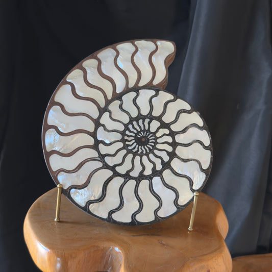 Ammonite with Mother of Pearl