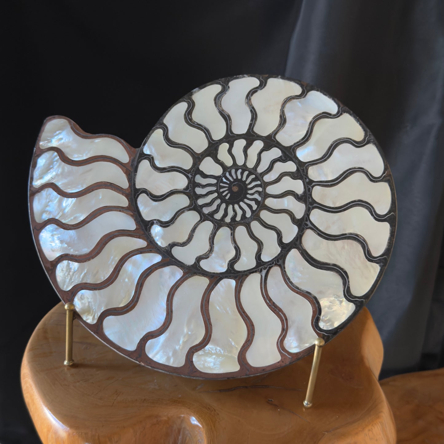 Ammonite with Mother of Pearl