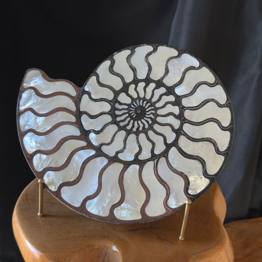 Ammonite with Mother of Pearl