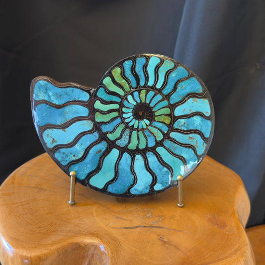 Ammonite with Turquoise Inlay