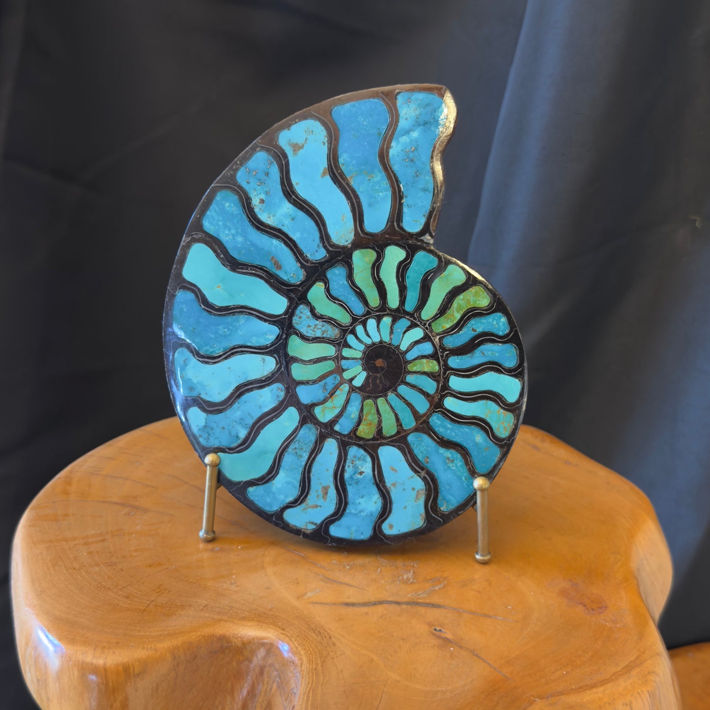 Ammonite with Turquoise Inlay