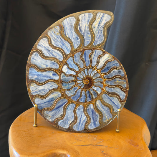 Ammonite with Kyanite Inlay